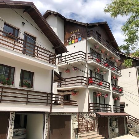 Vila Loft Cube Синая Екстериор снимка