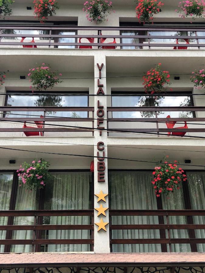 Vila Loft Cube Синая Екстериор снимка